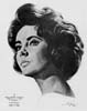 1960 (33rd) Best Actress Volpe Sketch: Elizabeth Taylor